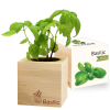 Plante à pousser : Basilic-Bio - Éco-cube