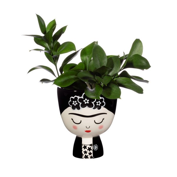 Cache Pot Frida Kahlo Monochrome - plante - cadeau femme - décoration